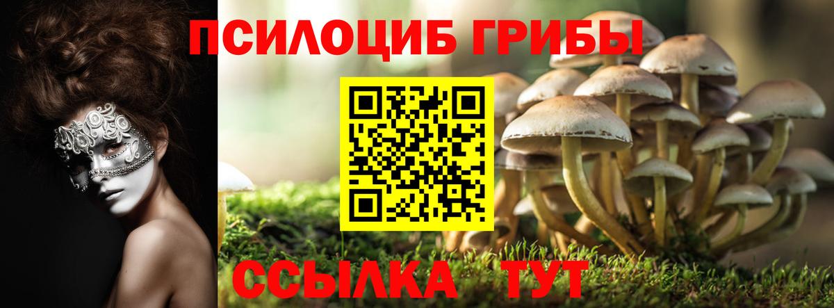 Псилоцибиновые грибы мицелий  Галлюциногенные грибы мухоморы  дарнет шоп  Жуковский  Вход с VPN 